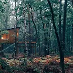 Lodge Youza Dans Les Arbres *