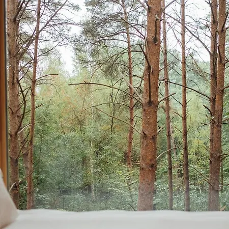 Lodge Youza Dans Les Arbres La Couture-Boussey