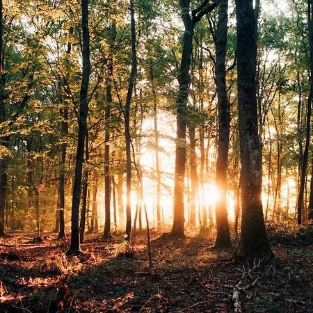 Youza مكان تخييم *