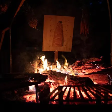 Lodge Youza Dans Les Arbres *