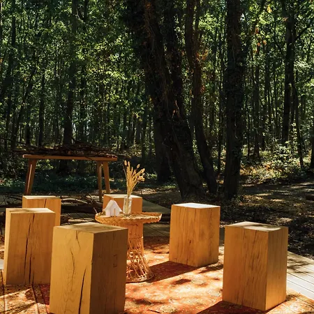 Youza مكان تخييم *