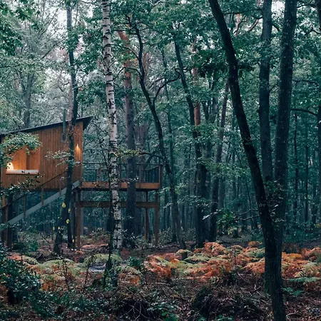 Lodge Youza Dans Les Arbres *