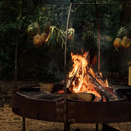 Youza La Couture-Boussey