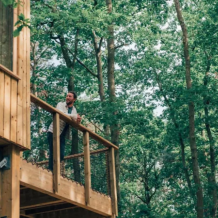 Youza Dans Les Arbres La Couture-Boussey