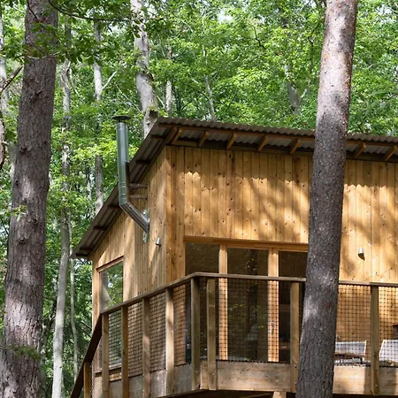 Lodge Youza Dans Les Arbres