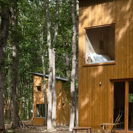 Youza Dans Les Arbres Lodge