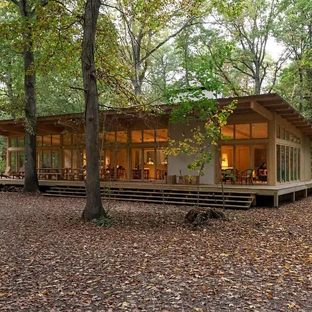 Campsite Youza Dans Les Arbres