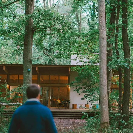 Youza Dans Les Arbres Lodge La Couture-Boussey