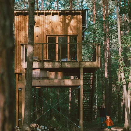 Youza Dans Les Arbres * La Couture-Boussey