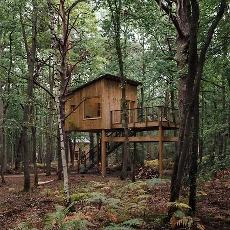 Youza Dans Les Arbres Campsite