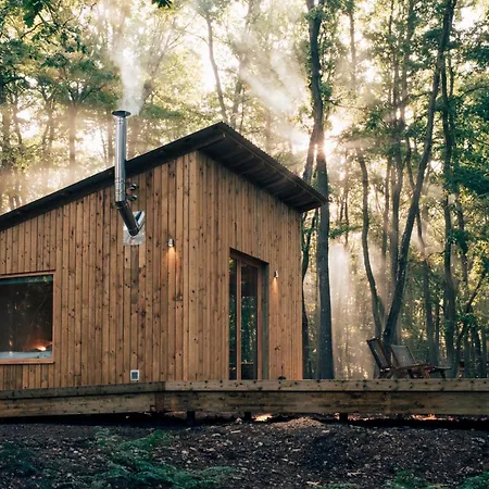 Youza Dans Les Arbres * La Couture-Boussey