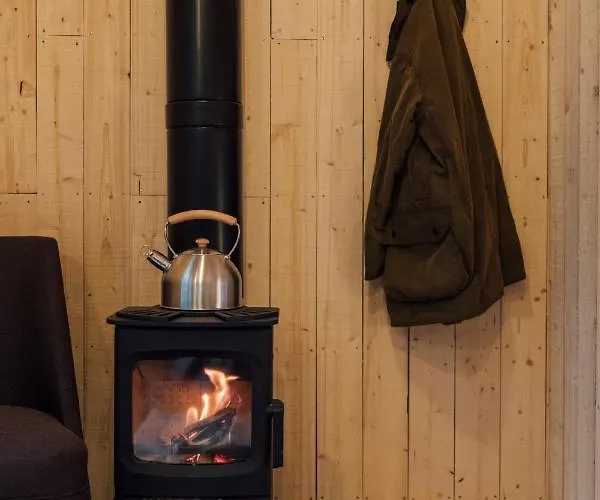 Youza Dans Les Arbres *