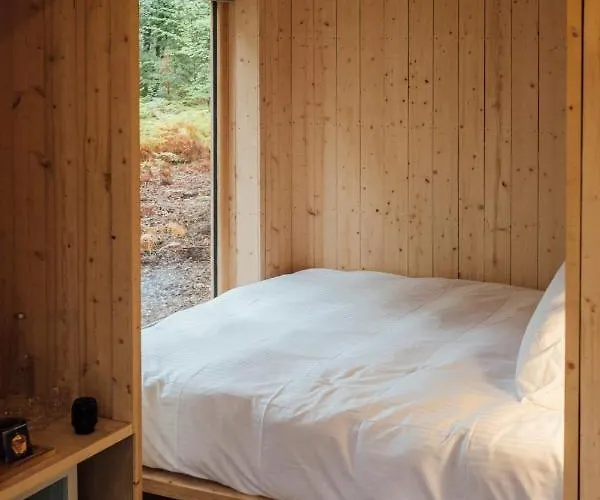 Youza Dans Les Arbres