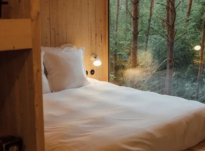 Youza Dans Les Arbres *