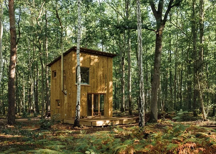 Youza Dans Les Arbres *