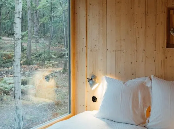 Youza Dans Les Arbres La Couture-Boussey