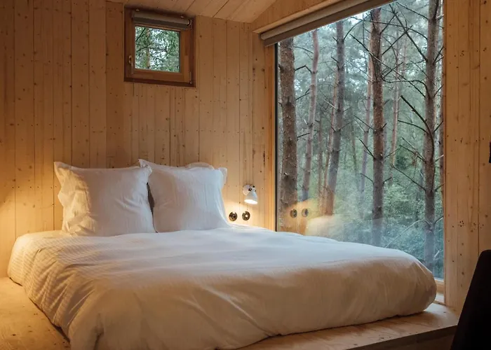 Youza Dans Les Arbres *