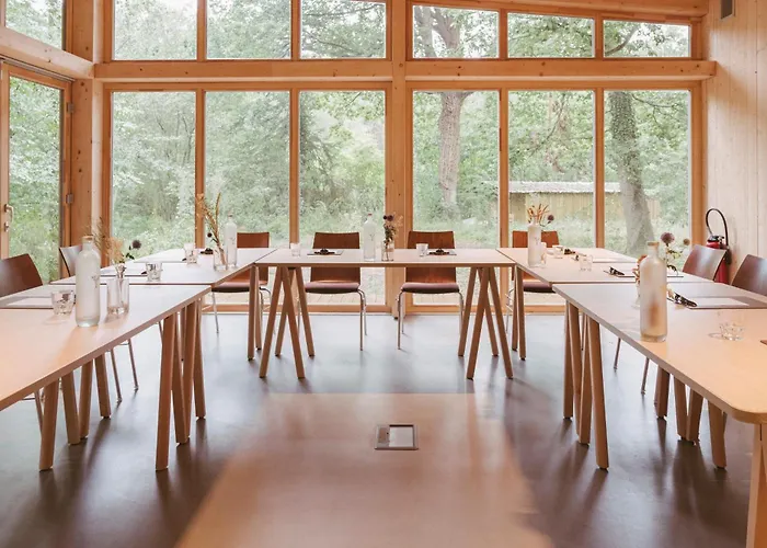 Youza Dans Les Arbres *