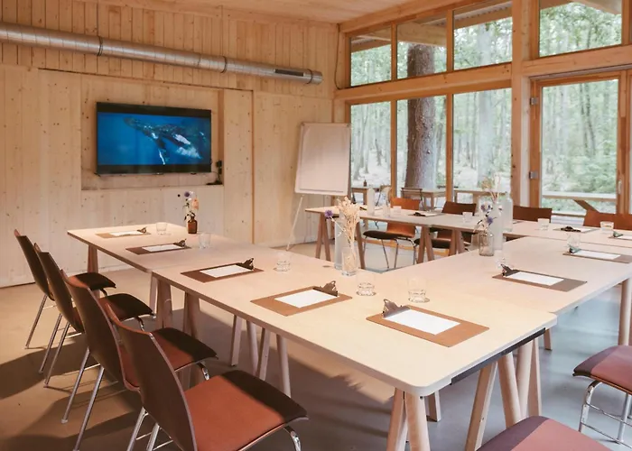 Youza Dans Les Arbres