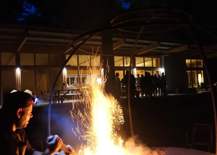 Campsite Youza Dans Les Arbres