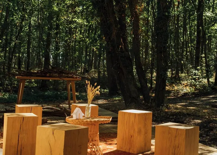 Youza Dans Les Arbres Campsite *