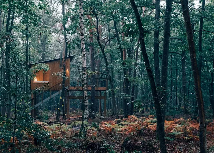 Campsite Youza Dans Les Arbres *