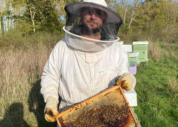 Youza Dans Les Arbres * La Couture-Boussey