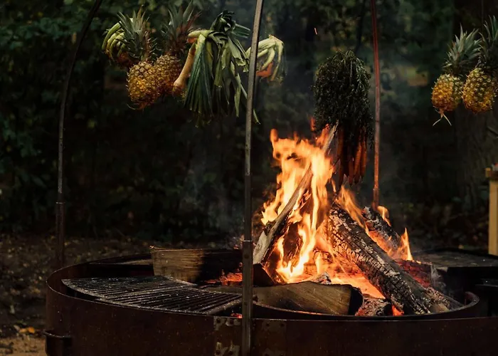 Youza Dans Les Arbres La Couture-Boussey