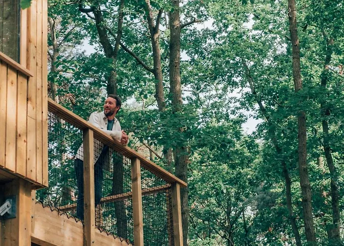 Youza Dans Les Arbres La Couture-Boussey