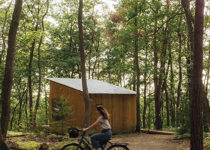 Youza Dans Les Arbres Campsite *