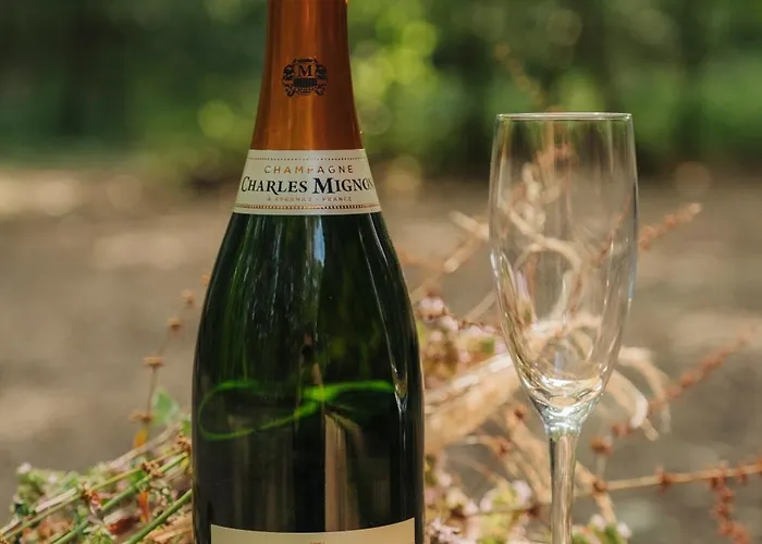 Youza Dans Les Arbres Campsite La Couture-Boussey