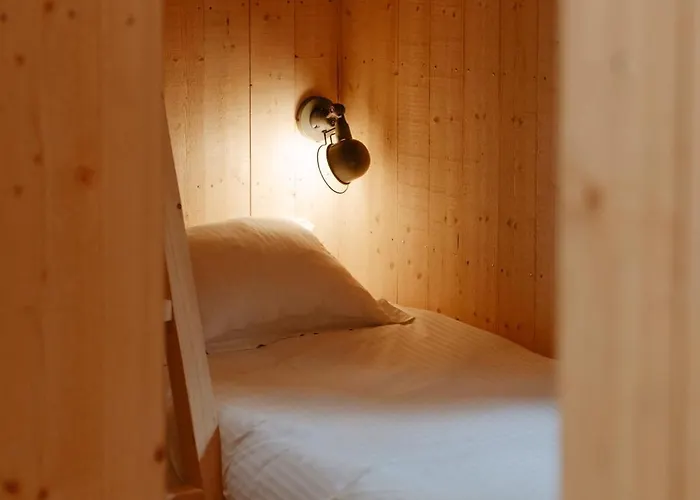 Youza Dans Les Arbres La Couture-Boussey