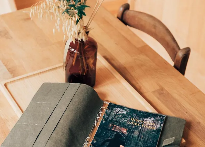 Youza Dans Les Arbres *