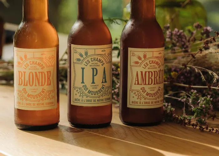 Youza Dans Les Arbres