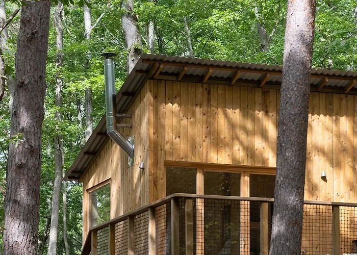 Campsite Youza Dans Les Arbres