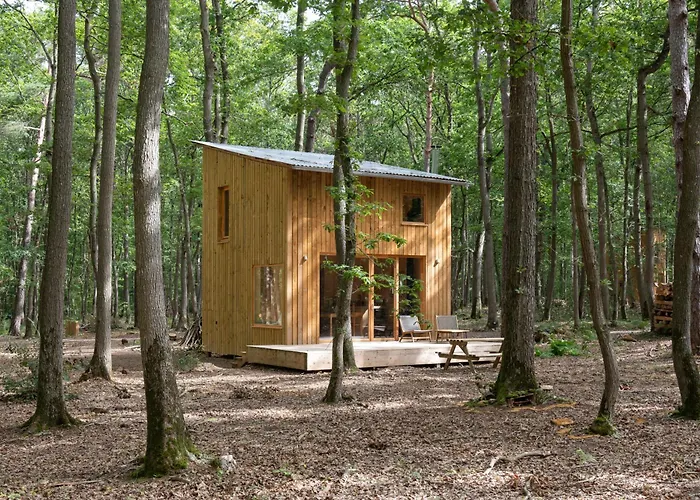 Youza Dans Les Arbres * La Couture-Boussey