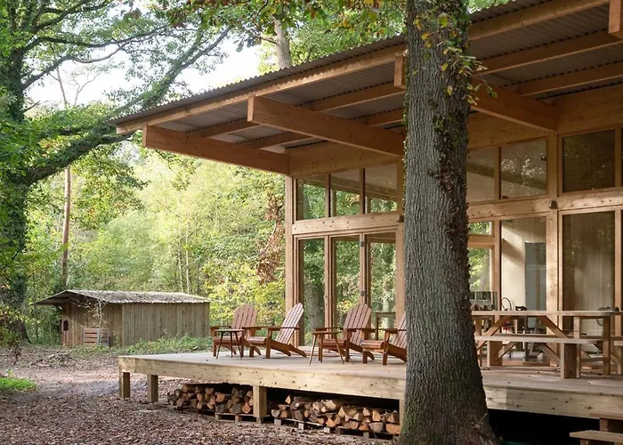 Youza Dans Les Arbres