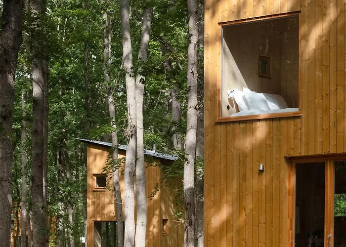 Youza Dans Les Arbres Campsite