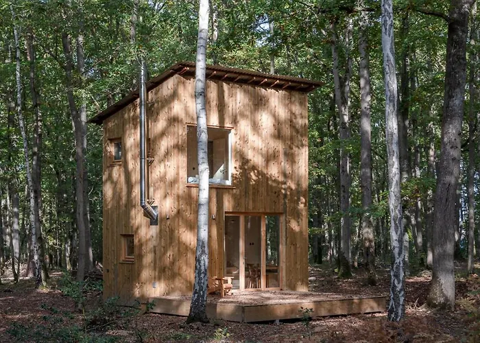 Youza Dans Les Arbres La Couture-Boussey