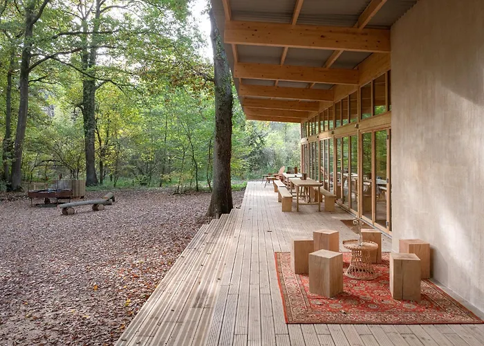 Youza Dans Les Arbres