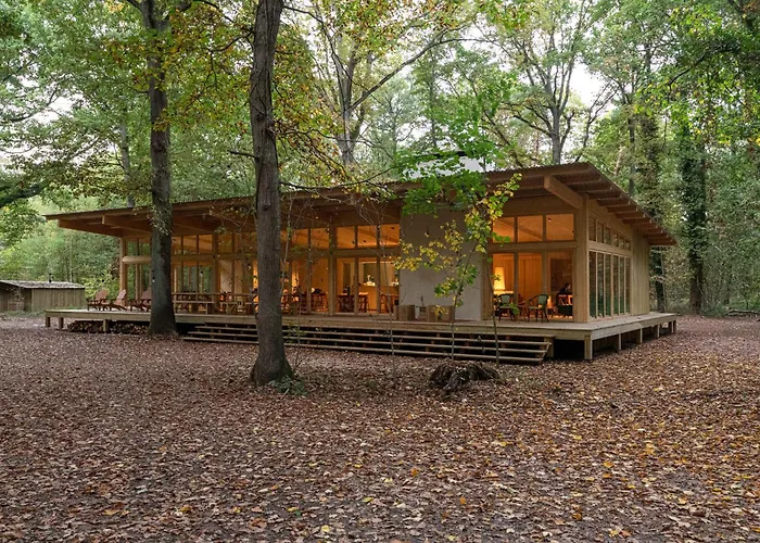 Campsite Youza Dans Les Arbres