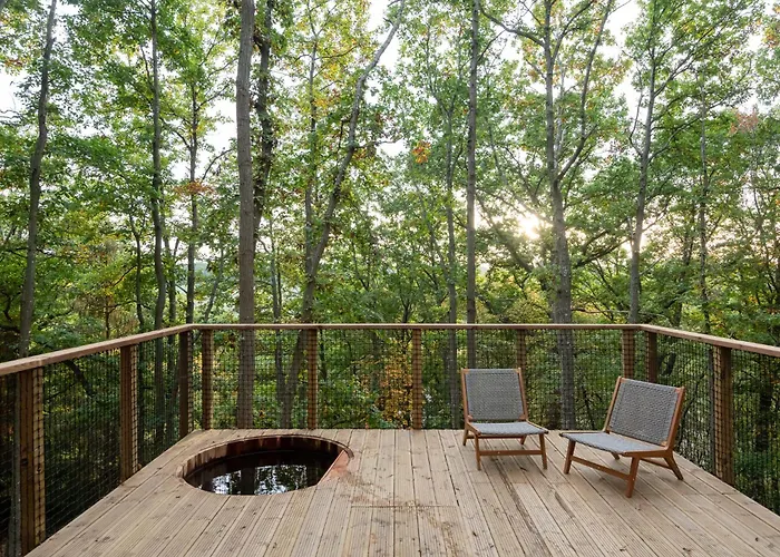 Youza Dans Les Arbres Campsite *