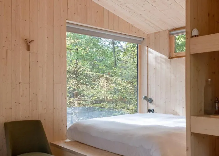 Youza Dans Les Arbres La Couture-Boussey