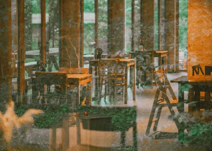 Youza Dans Les Arbres