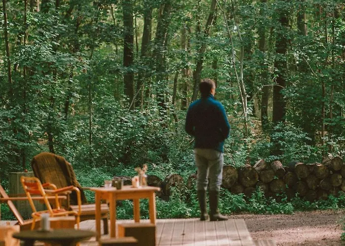 Youza Dans Les Arbres Campsite La Couture-Boussey