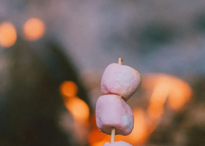 Youza Dans Les Arbres * La Couture-Boussey