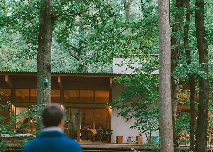 Youza Dans Les Arbres Campsite La Couture-Boussey