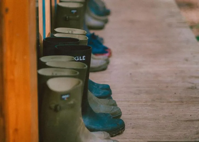 Youza Dans Les Arbres La Couture-Boussey