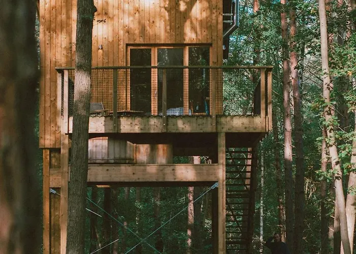 Youza Dans Les Arbres * La Couture-Boussey