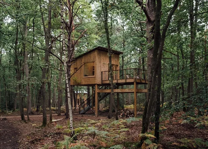 Youza Dans Les Arbres Campsite